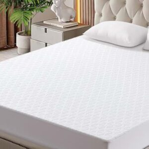 Mattress Protector